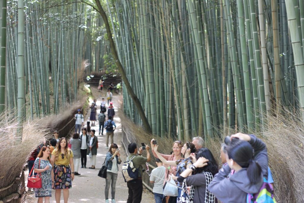 Bambusový les Kyoto